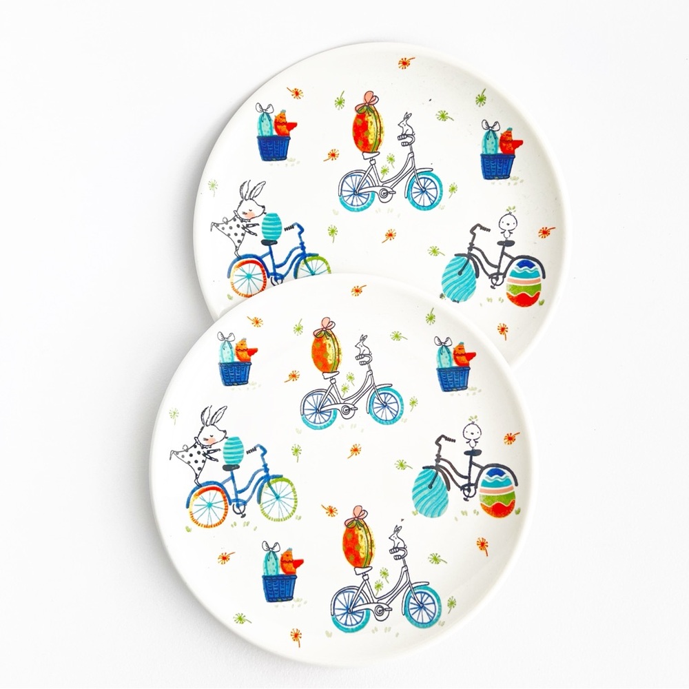 🤍2 Colorful Bicycle Design Plates